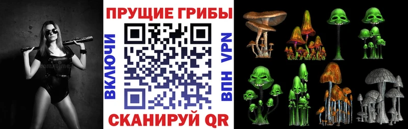 где купить наркоту Нахабино Галлюциногенные грибы MAGIC MUSHROOMS